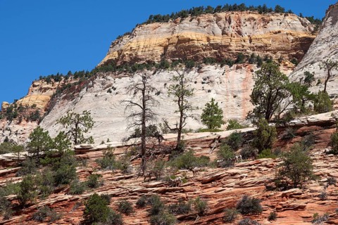 Sandstone rock formations at Zion-Mount Carmel Highway