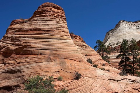 Petrified Sand Dunes in Clear Creek at Zion-Mount Carmel Highway