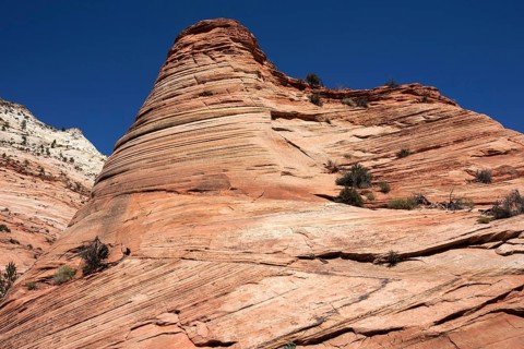 Petrified Sand Dunes in Clear Creek at Zion-Mount Carmel Highway