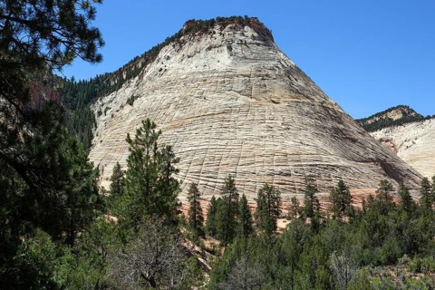 Checkerboard Mesa Table Mountain