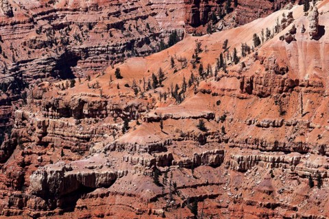 Views of bizarre sandstone erosions in Amphitheater
