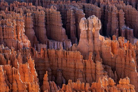 View of Bryce Amphitheater from Inspiration Point