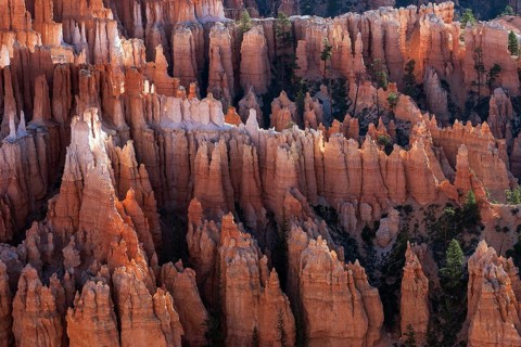 View of Bryce Amphitheater from Inspiration Point