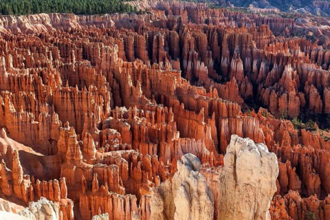 View of Bryce Amphitheater from Inspiration Point