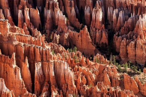 View of Bryce Amphitheater from Inspiration Point