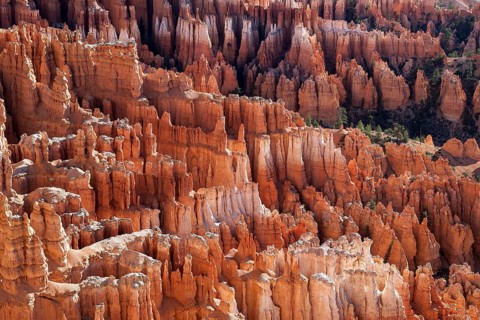 View of Bryce Amphitheater from Inspiration Point