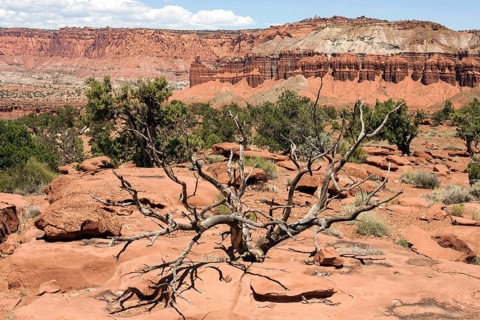 Landscape and rock formations near Gossenecks Overlook