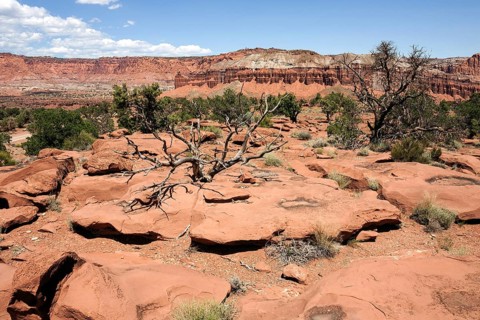 Landscape and rock formations near Gossenecks Overlook