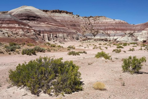 Coloured rock formations on Utah State Route 24