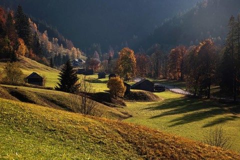 Autumnal colours