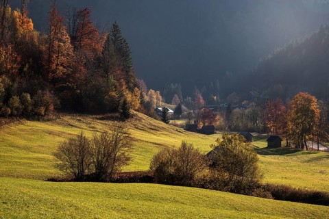 Autumnal colours