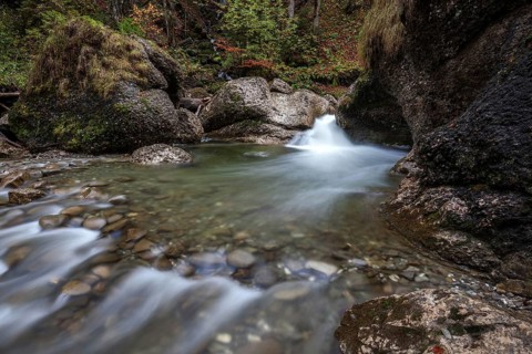 Ostertalbach in Ostertaltobel