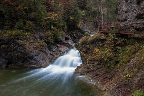 Ostertalbach in Ostertaltobel