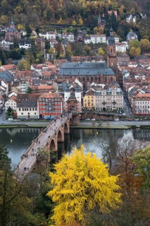 View from Philsophenweg to Neckar
