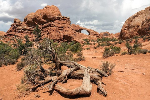 Skyline Arch