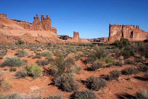 Courthouse Towers