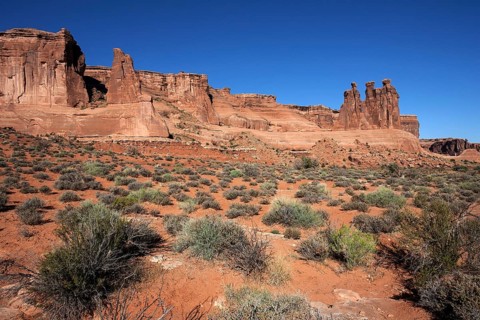 Courthouse Towers
