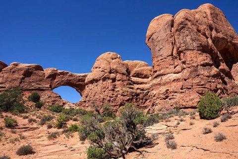 North Window