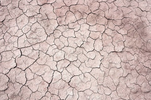 Dried earth