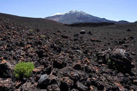 Volcanic landscape