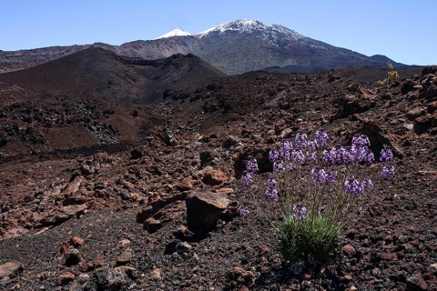 Volcanic landscape