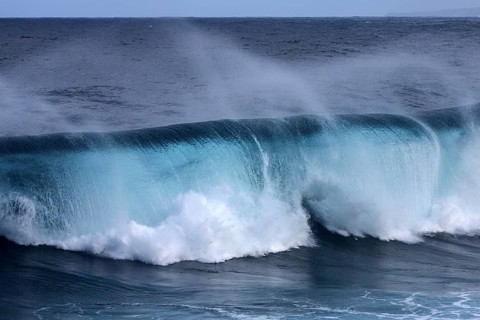 Sea