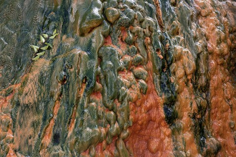 Colored mineral deposits in a thermal spring in Cilaos Cirque de Cilaos