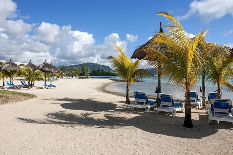 Beach with palm trees and sun loungers
