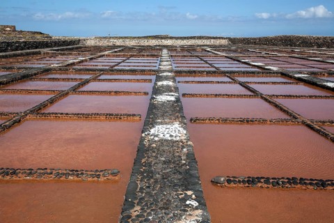 Salinas del Carmen salinse