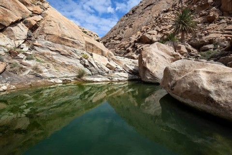 Pond in the Barranco de las Penitas near Vega de Rio Palmas