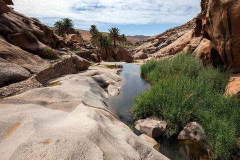 River with reeds in the Barranco de las Penitas