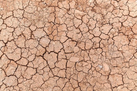 Dried earth
