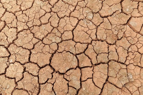 Dried earth