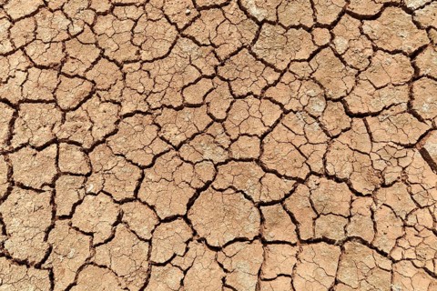 Dried earth