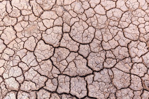 Dried earth