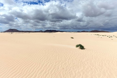 Sand dunes
