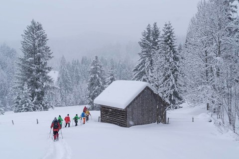 Snowshoe walking