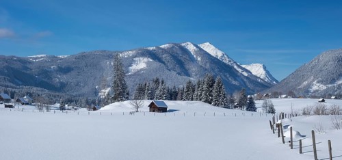 Snowy landscape