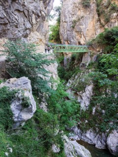 Bridge