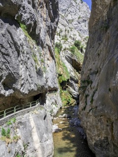 Hiking path cut into the rock