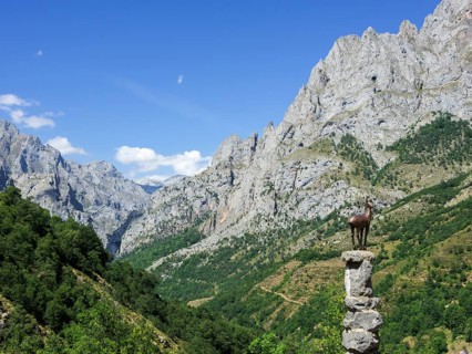 Mirador del Tombo