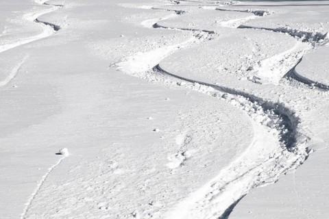 Ski tracks in powder snow