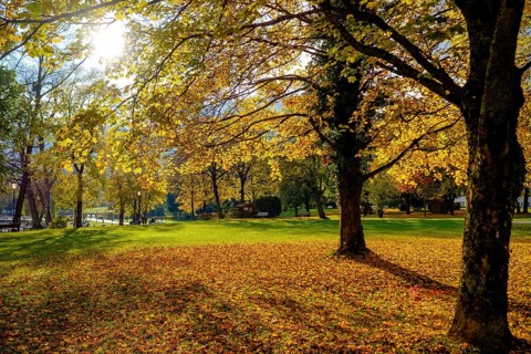 Park