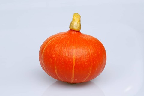 Hokkaido squash