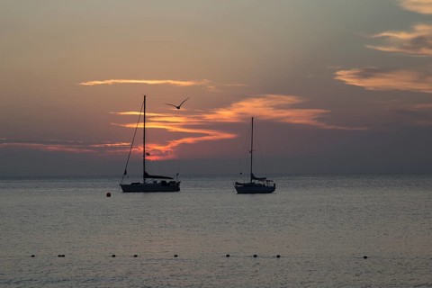 Two sailboats at sea at sunset