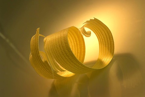 Wood shaving