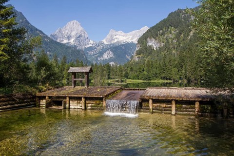Schiederweiher