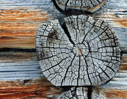 Weathered wooden beams