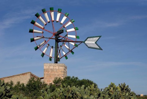 Windmill with cacti
