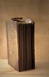 Old book with reading glasses and a horned violet